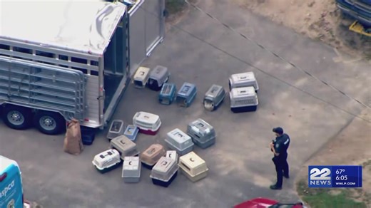 MSPCA seizes over 100 animals from Plympton home over cruelty claims