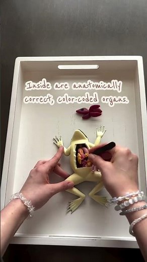 The best way to save frogs 💚