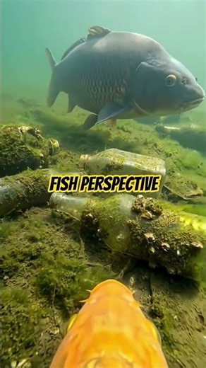 GoPro camera for fish. AMAZING #shorts #fypシ