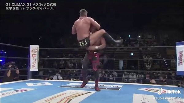 Pure Excellence in Pro Wrestling: ZSJ Highlights