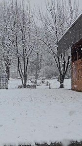 Miskolc-Diósgyőrben is 5-6 cm 😍 nagypelyhes 10 óra (Lillafüred már 8-9 cm, Bükk 8-12 cm) 2025.02.02. 10:00 #Miskolc #Havazás #Február #Tél | Astromet