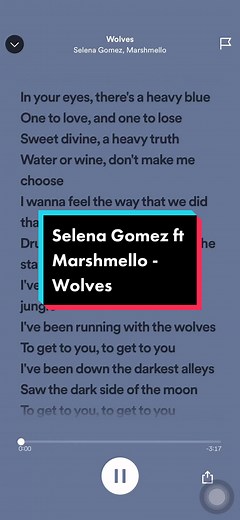 Selena Gomez ft Marshmello - Wolves Song with Lyrics