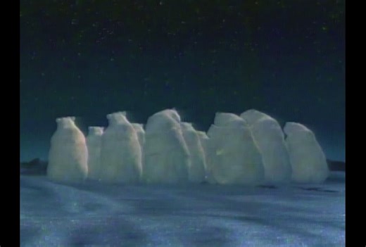 Coca Cola Animated Polar Bear Northern Lights