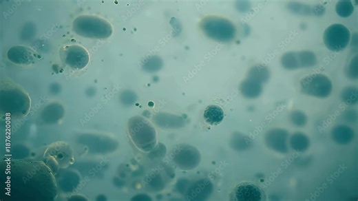 Abstract blue background featuring a macro liquid texture with bubbles and microscopic cells for a medical science biology wallpaper