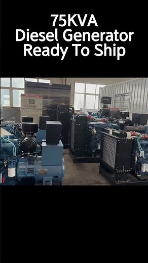 Ready to Ship: 75kVA Diesel Generator Set Test & Inspection | Eco Diesel Generator
