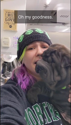 Adorable Shar Pei Puppy Gets a Nail Trim ❤️