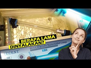 How Long Should You Use an Aquarium UV Lamp to Effectively and Properly Clear Goldfish Water?