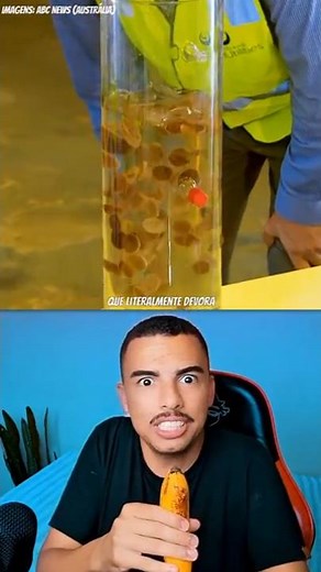 Scientists have created a bacterium that EATS POOP... and that's a good thing.