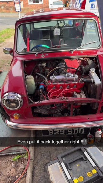 shaunwiththemini on TikTok