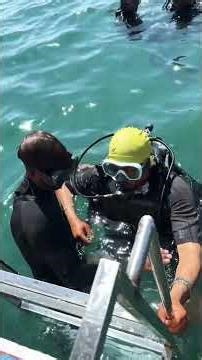 Scoba divine ‪@MrBeast‬ #shorts #shortvideo #sgort #shorts