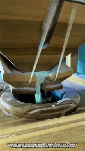 Best Innovation Stone Mill Machine: How to Grind Organic Barley Naturally