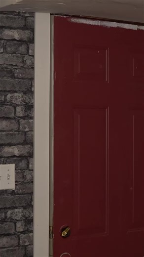 #dogbreeds #dog #react #fyp #foryou | dogs