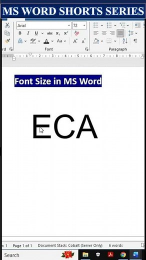 Day-8 | FONT Size in Word | MS Word Series #Word #msword #eleganceacademy #fontsize