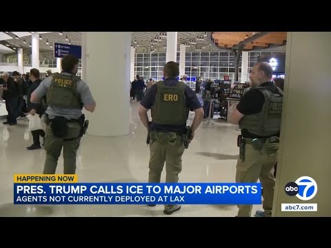 ICE agents deployed to over a dozen US airports as shutdown triggers delays