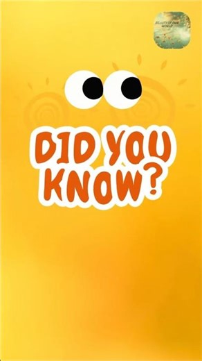 🤯 Did You Know 🌍 Facts, Curiosities & Wonders ✨