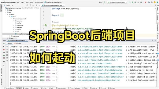SpringBoot后端项目如何起动