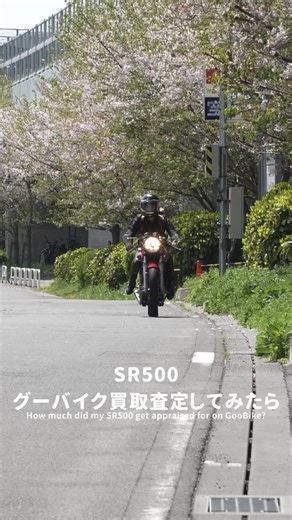 YU(ゆう) on Instagram: ". 今までお迎えした乗り物を手放したことがない私ですが、この度、SR500を買取査定に出したらいくらになるか検証してみました！ 4月の中旬頃、実際に私のSRがグーバイク買取のオークションサイトに掲載されまして、偶然にも見つけてくださった皆さん居ましたらこの場を借りて御礼申し上げます🙇‍♀️ もちろん、本当に売りに出したりはしません！今回はプロモーションのご依頼で出品させていただきました🏍️愛車の査定額が知りたいというだけでも、出品することが可能です😉 全国2100店舗のバイクショップに見てもらえる大手サイトなので、私みたいな改造車でもカスタムに理解のあるショップさんとのご縁がありそうでいいなぁと思いました😊 この機会に買い替えをご検討されてる人がいましたら是非利用してみてくださいね〜！ #グーバイク #買取 #pr @goo_net_official YouTube channel 『 #YUSR500 #愛車のある暮らし 』 https://youtu.be/m22iXip1wJ8 #SR500 #SR400 #SR女子 #カフェレ