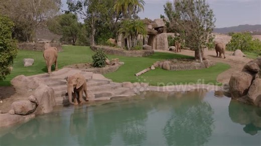 US: All New Elephant Valley To Transform San Diego Zoo Safari Park