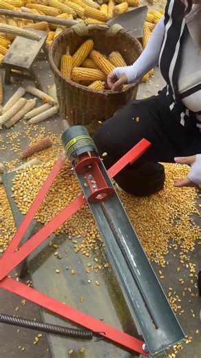 340K views · 973 reactions | Easy to operate manual maize thresher to protect the integrity of corn grains.#thresher #machinery #farmer #dawnagro | Dawn Agro Rice Mill | Facebook