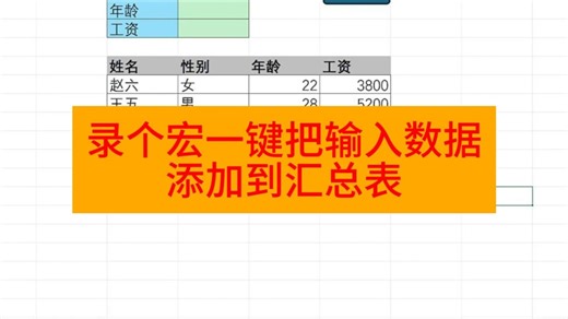 VBA宏一键把输入数据添加到汇总表