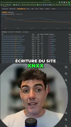 SEO - XNXN Traffic, the trap of the Search Console