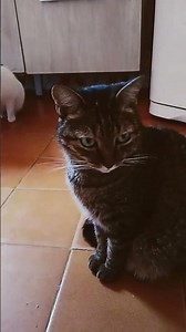 31 de março de 2026