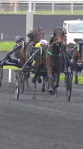 🐴 Les favoris du Prix de Paris @eqwinapp (Gr. 1) ce dimanche à Vincennes 😍 | Equidia