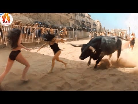 80 Most BRUTAL ANIMAL ATTACKS Caught on Camera #3