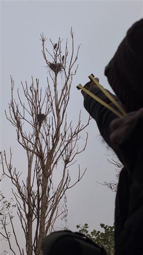 outdoor slingshot hunting tips #ytshorts #shorts #trending #tips #youtubeshorts