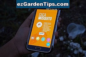 Cómo utilizar Mosquito Dunks para controlar infestaciones de mosquitos en plantas de interior 🌱 Tips Jardineros - Es.ezGardenTips.com