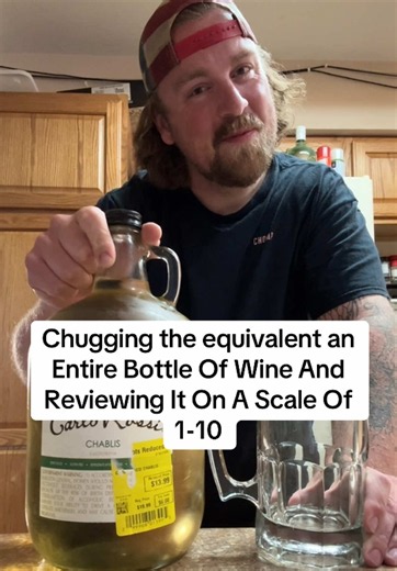 I’m a trained professional, please do not try to recreate or attempt anything you see me doing at home! This is not a challenge or in any way meant to be. I do this purely for the love it. #whitewine #redwine #wine #review #beer