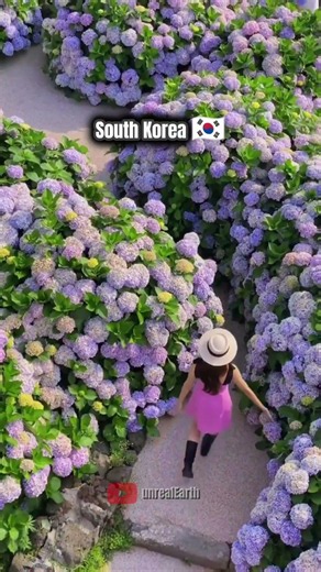 Top 5 Most Beautiful Destinations 🌍😍 #fyp #ytshorts #beautifulplaces
