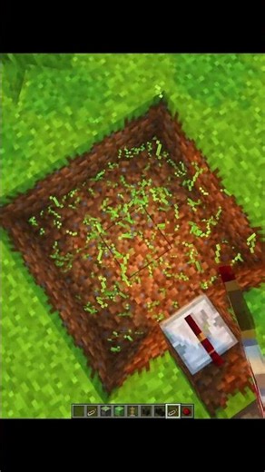 Minecraft Fake Dragon 🐉 #minecraft #shorts