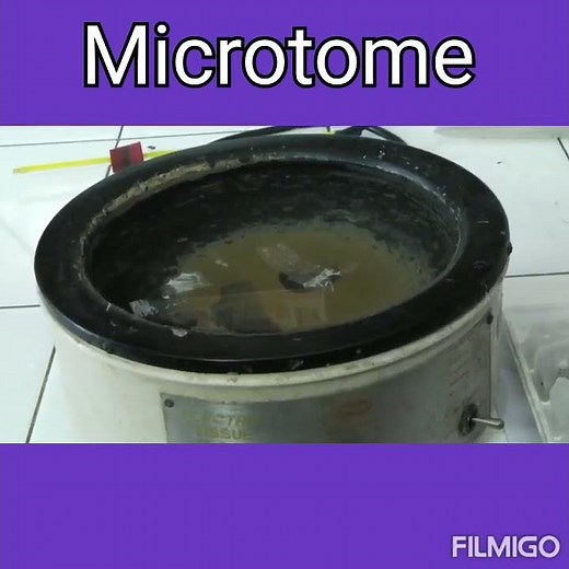 Paraffin sections, Microtome section cutting