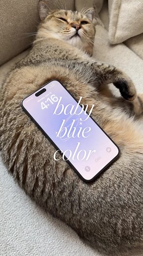 Is blue your favorite color? 🌀 Made with @color.widgets #widgets #ios14 #colorwidgets #customize #diy #homescreen #ios #widget #ios15 #aesthetic #customicons #babyblue #bluewidget