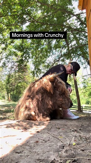 Understanding the Journey of Music Bestie