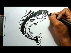 How to Draw an Easy Salmon Fish