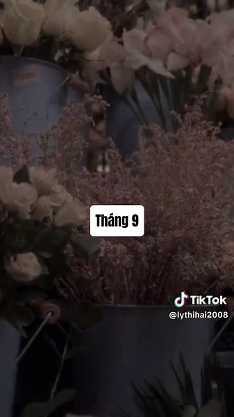 12 tháng sinh là gì trong mắt crush