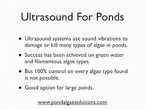 Ultrasonic Algae Control
