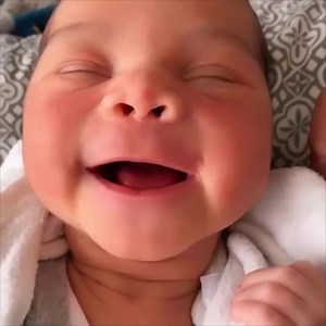 483K views · 10K reactions | All of God’s grace in one tiny face 殺 殺 殺  … #Newborn #Baby | Cats Animal | Facebook