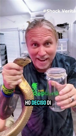 😱 What does snake venom look like under a microscope?