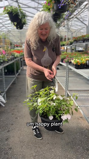 903K views · 10K reactions | Freshly Restocked! Meet Hydrangea...