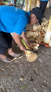 Cutting Of Young Coconut Tree For Overseas Export 🛎️ info Công Ty Cổ Phần Thực Phẩm Chí Tâm 💈 Address 375D Ấp Mỹ Đức, Bình Phú, Bến Tre, 86216, Vietnam 💰 Price 40.000 Dong/ $ 1.50 USD | Foods Hunter