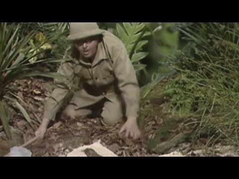 Benny Hill - Saison 3, Episode 1