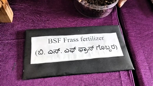 Black soldier fly for chicken farming and fish farming Part 3 | ಕೃಷಿ ದೇವೋಭವ. Krushi Devobhava