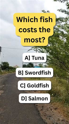 Which fish costs the most? #brainteaser #riddles | Nikhil's Brainteaser