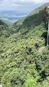 From our spectacular waterfall to the adrenaline-pumping #bigswing and zipline, and calm and serene lift and forest experience, #GraskopGorgeLiftCo has something to suit everyone. Bring the family for a fantastic day out! Book your activities online now: www.gglc.co.za #graskop #mpumlanaga #panoramaroute | Graskop Gorge Lift Co