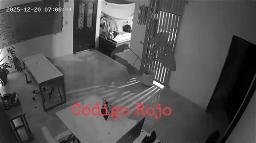 🔴🐀 Ayúdanos a dar con esta lacra que se metió a robar en el Fracc. Fundicion | Código Rojo