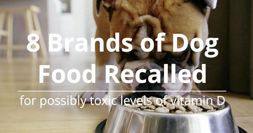 8 brands of dog food recalled