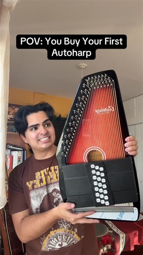 David Pazmino on Instagram: "Wha do you guys think of this instrument"